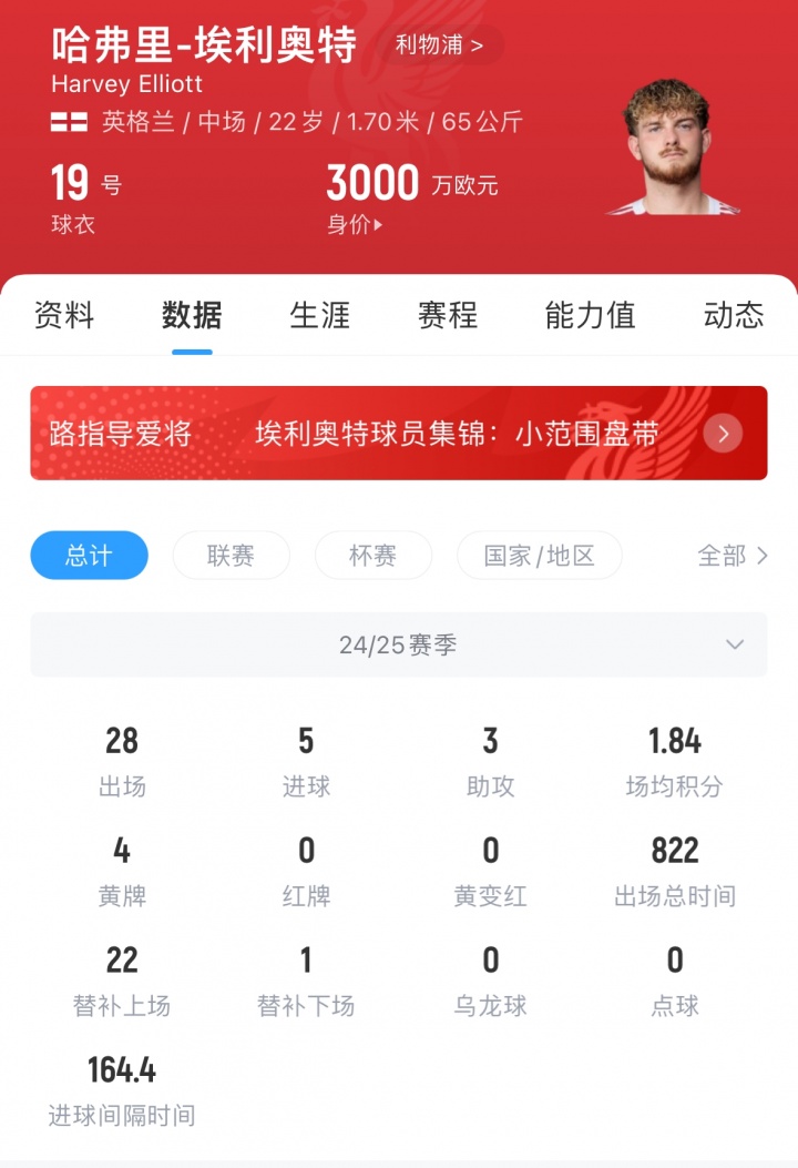 想替代者
